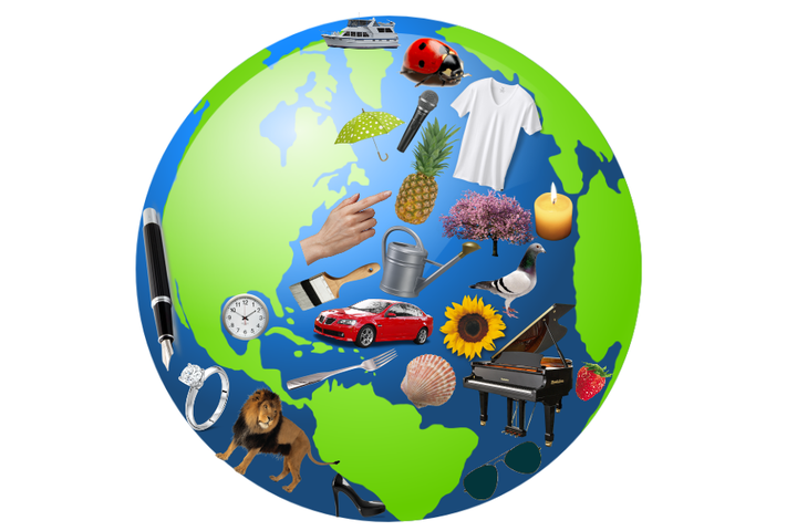 LinguaPix Logo